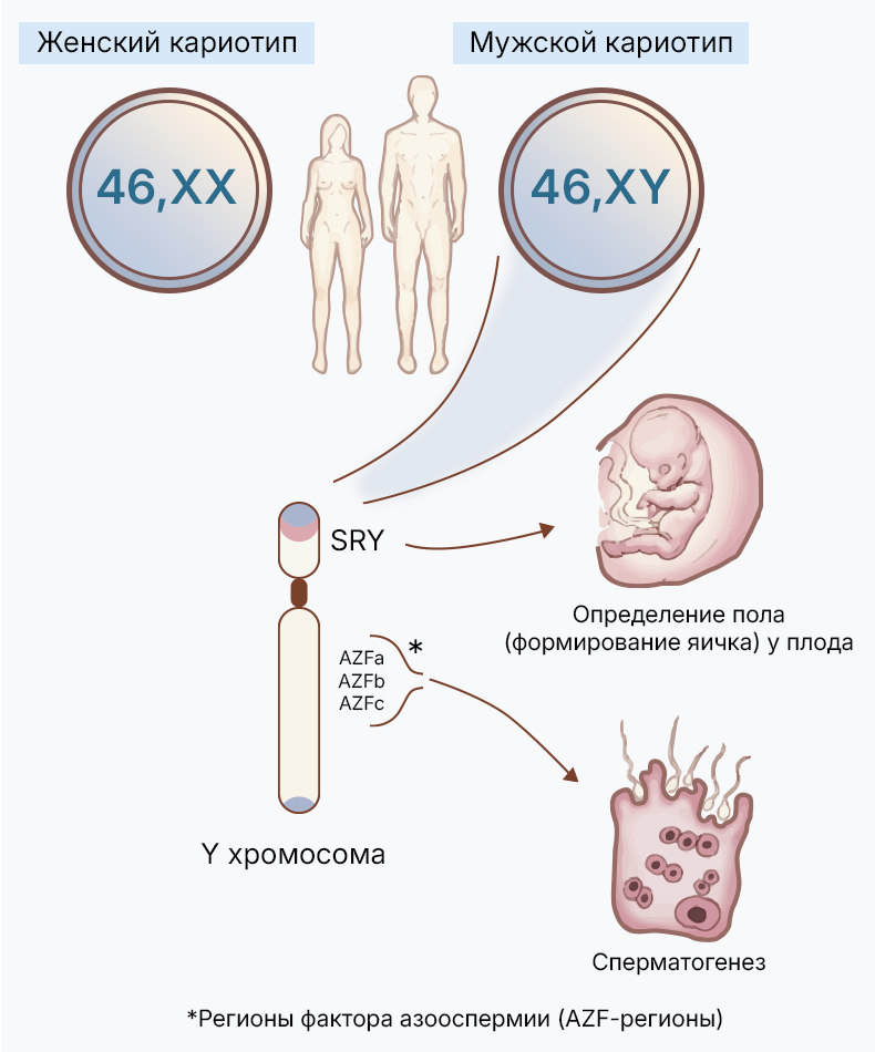 Лаборатория CeGaT